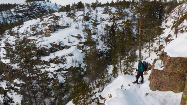 Skuleskogen.jpg