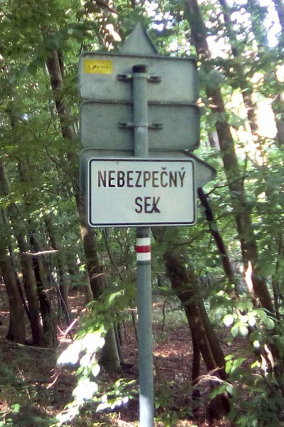 nebsex.jpg