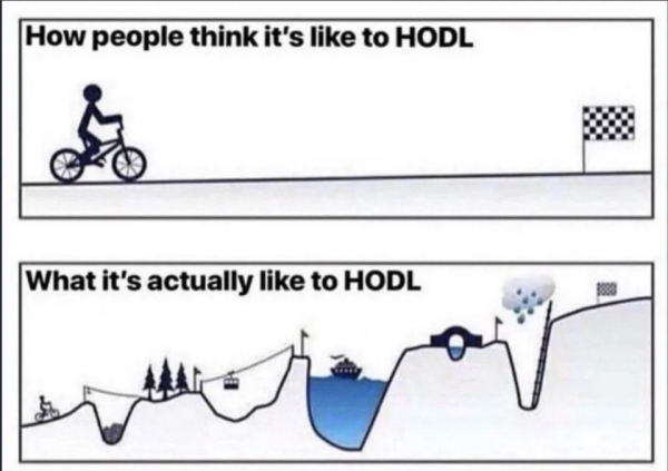 hodl.png