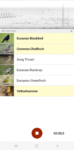 Screenshot_20230520_170227_Merlin Bird ID.png