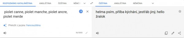 google_translate.jpg